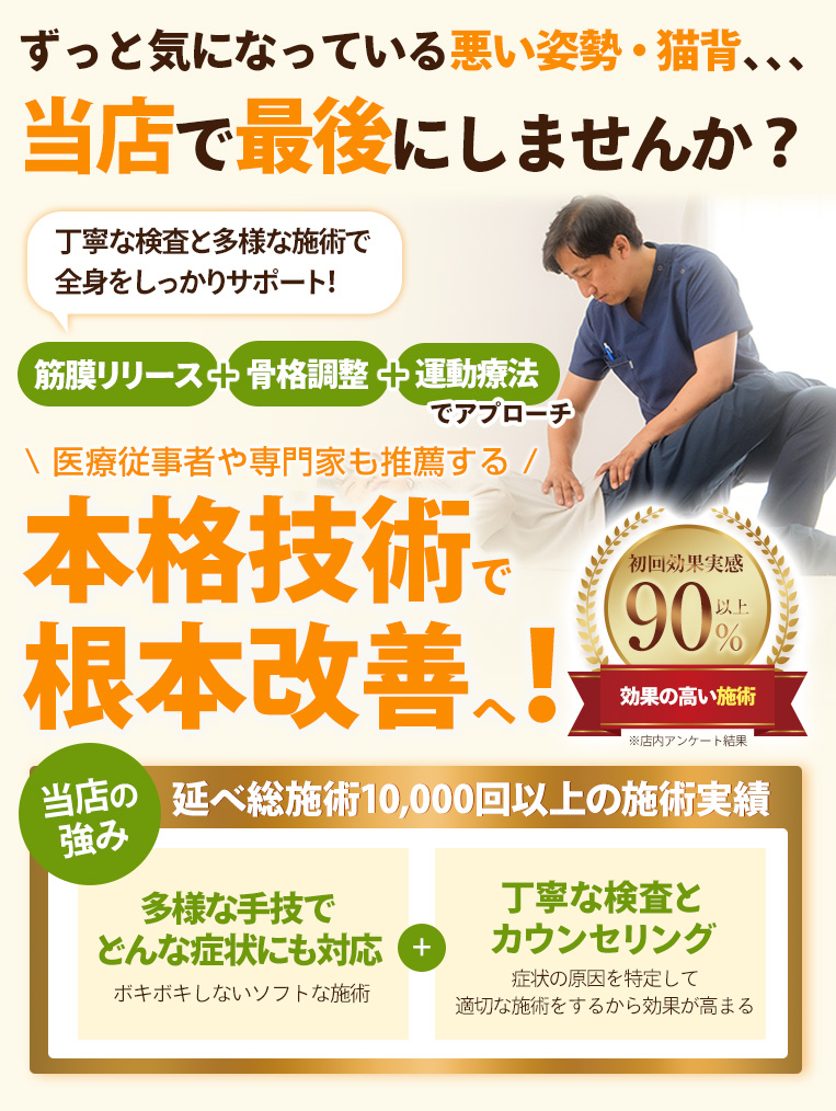 FV-猫背_sp
