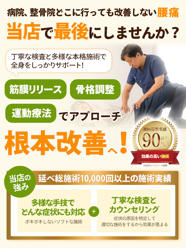 FV-腰痛_sp